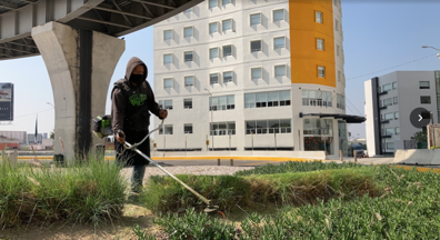 Mantenimiento de áreas verdes - Puebla